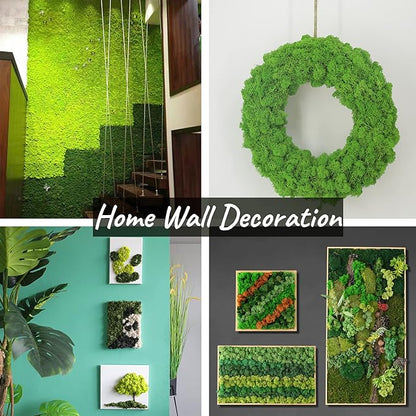 Moss Preserved Moss for Potted Plants Natural Fresh Green Reindeer Moss for Craft Arts Floral Wall Decor Decor Wedding Centerpieces Garden Artificial Terrariums Decoration for Christmas - Red 3.52OZ