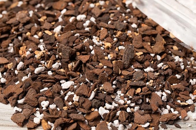 rePotme Aloe Vera Succulent Potting Soil Mix - Imperial Blend (Mini Bag)