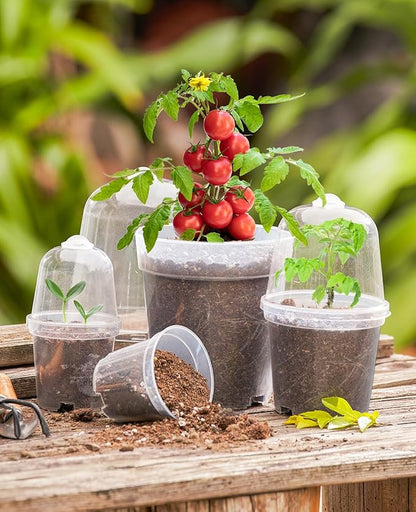 homenote Clear Nursery Pots for Plants,5 Inch Plant Pot for Planting with Humidity Domes Plastic Seedling with Drainage Holes Seed Starter Flower High Transparency (15 Pack)