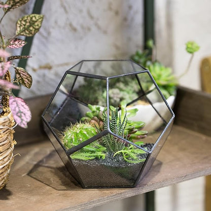 NCYP Small Open Terrarium Planter - 6.89" x 6.89" x 5.9" Pentagon Geometric Glass Container Pot for Succulents, Air Plants - Home Garden Tabletop Miniature Decor, Black (No Plants)