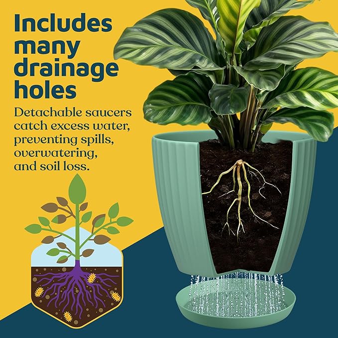 Mint 6-Inch Plant Pots with Drainage & Saucers 18 Pack, Indoor & Outdoor Planters for Houseplants, Herbs, and Flowers, Durable & Weatherproof Material, Stackable, Lightweight, Minimalist Design