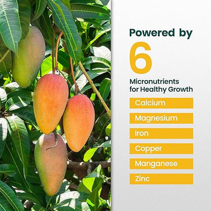 16oz Mango Fruit Tree Fertilizer - Makes 16 Gallons of Mango Tree Fertilizer for Mangoes, Nutrient-Rich Liquid Plant Food for Strong Roots, Lush Foliage, and Abundant, Juicy Mangos