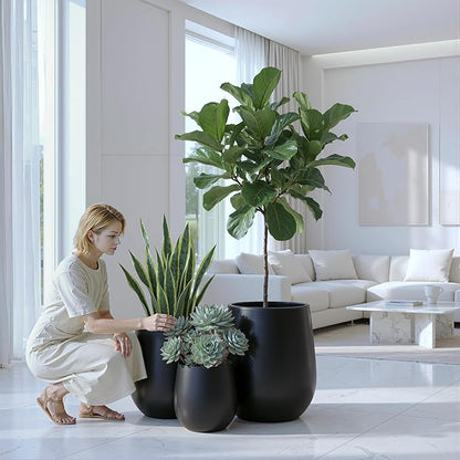 DTY Signature Mount Wilson Modern Indoor Outdoor Fiberstone Tapered Planter, Lightweight, Weather Resistant Garden Pot with Drainage Hole & Rubber Plug, Planter for Christmas Decor - Black, Small