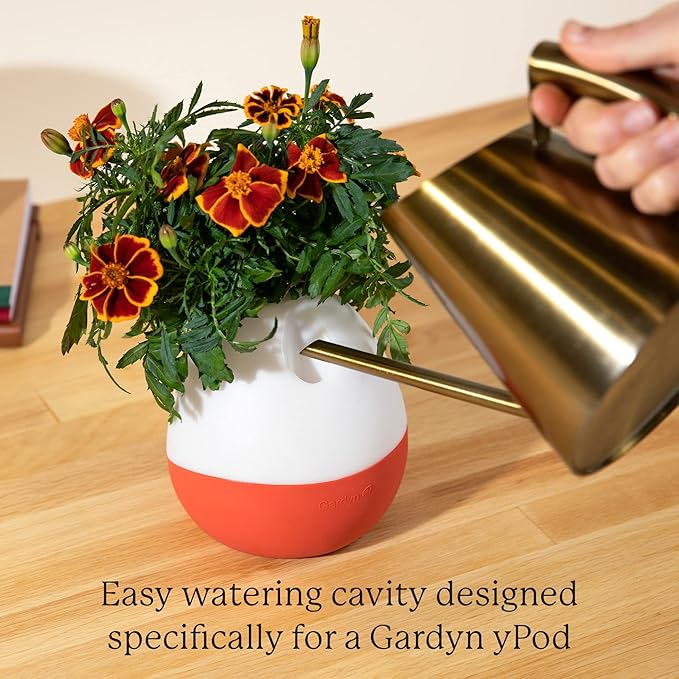 GARDYN Vase Complete Kit-Cauliflower White | Designed for use Hydroponics Growing System Kits & Vertical Garden Hydroponic Gardens | Bring Indoor Plants to All Areas of Your Home