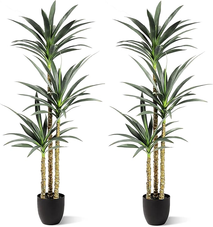2 Pack - Hyper-Realistic Dracaena Trees with Real Touch Detail. 5 feet Tall Each-UV Protected- Faux Yucca Tall Artificial Floor Agave Plant Decor