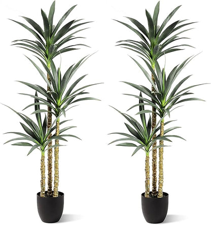 2 Pack - Hyper-Realistic Dracaena Trees with Real Touch Detail. 5 feet Tall Each-UV Protected- Faux Yucca Tall Artificial Floor Agave Plant Decor