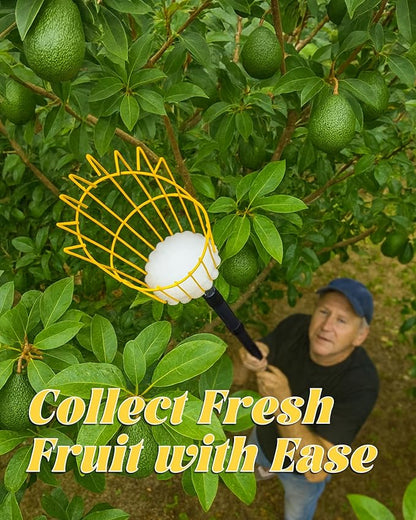 13.5FT Fruit Picker, Apple Picker Tool with Adjustable Pole and Basket, Long Reach Mango Grabber Tool, Tree Fruit Catcher for Picking Lemon Pear Orange Avocado Peach Citrus