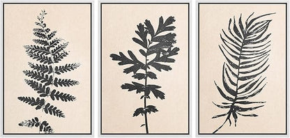 Ashbrook Framed Canvas Print Wall Art Set Black Grunge Forest Plant Silhouette Nature Wilderness Illustrations Modern Art Rustic Chic Colorful for Living Room, Bedroom, Office - 24"x36"x3 White