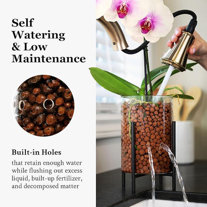 Pot & Pebble - C8 Glass Planter with Decorative Metal Base - Plant Propagation Station with Water Level Control - Plant Cutting Holder for LECA Clay Pebbles/Similar Media - Semi Hydroponic Planter