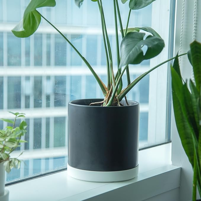 Phoenix Vine 10 Inch Plastic Plant Saucer Water Drip Tray, Heavy Sturdy Round Plant Drainage Tray for Indoors Outdoor, Set of 2, Matte White, 21-TY-10W-2