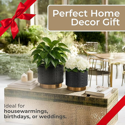 Set of 2 Mesh Metallic Decorative Planter Pot with Gold Accents – Ceramic Stoneware Outdoor & Indoor Plant Pot – Modern Garden & Home Decor Planters – 6" & 7", Black
