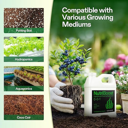VIVOSUN Seaweed and Kelp Fertilizer, Concentrated Plant Additive NutriBoost (0-0-1), All-Purpose Liquid Food for All Growing Stages, for Trees, Vegetables, Flowers, Fruits, Lawn, 32 Ounces/1 Quart