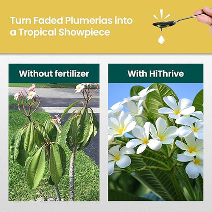 32oz Plumeria Fertilizer - Makes 32 Gallons of Liquid Plant Food for Plumeria Plants Live, Tropical Plant Fertilizer for Vibrant Flowers, Glossy Leaves, and Strong Roots - Nutrient-Rich Flower Food