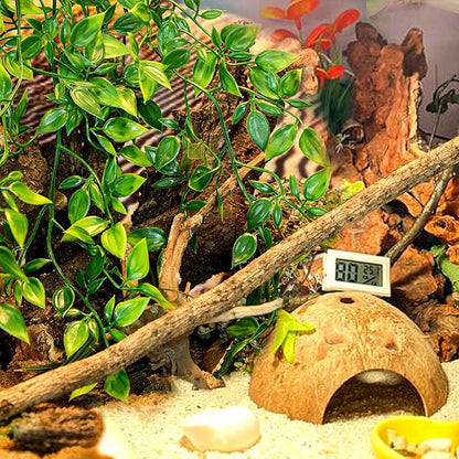 HERCOCCI Reptile Plants, 2 Pack Terrarium Hanging Plants Vines Artificial Leaves Habitat Decorations with Suction Cup for Bearded Dragon Hermit Crab Lizard Snake Geckos Chameleon