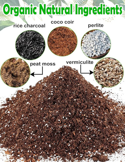 TOYPOPOR Potting Soil for All Indoor Houseplants, Contains Perlite, Peat Moss, Coco Coir and Rice Charcoal, Well Draining Potting Mix Light, Aerated Texture for Healthy Plant Roots and Fast Growth 1qt