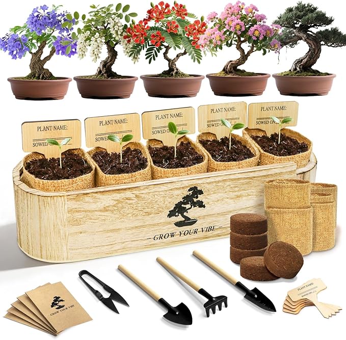 Bonsai Tree Kit for Beginners - Unique DIY Japanese Bonsai Trees,Crafts for Adults, Ideal Gardening Birthday Gift for Women & Men,Complete Indoor Plant Kit