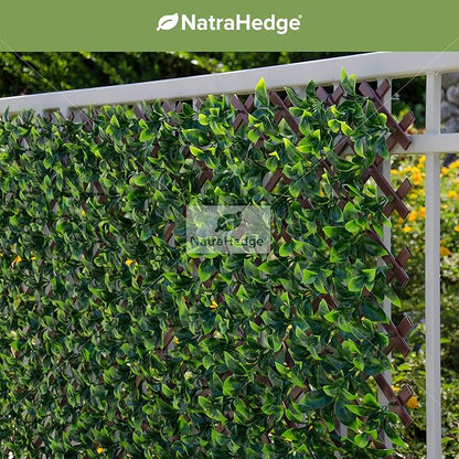 NatraHedge Artificial Ficus Leaf Expandable Lattice