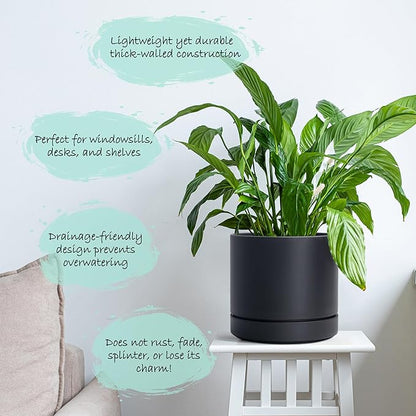 Phoenix Vine 4 Inch and 6 Inch Planter Pot with Drainage Hole & Deep Water Catch Tray Saucer, Straight Cylindrical Round Pot for Plants, Matte Black, 23-A-2-Z