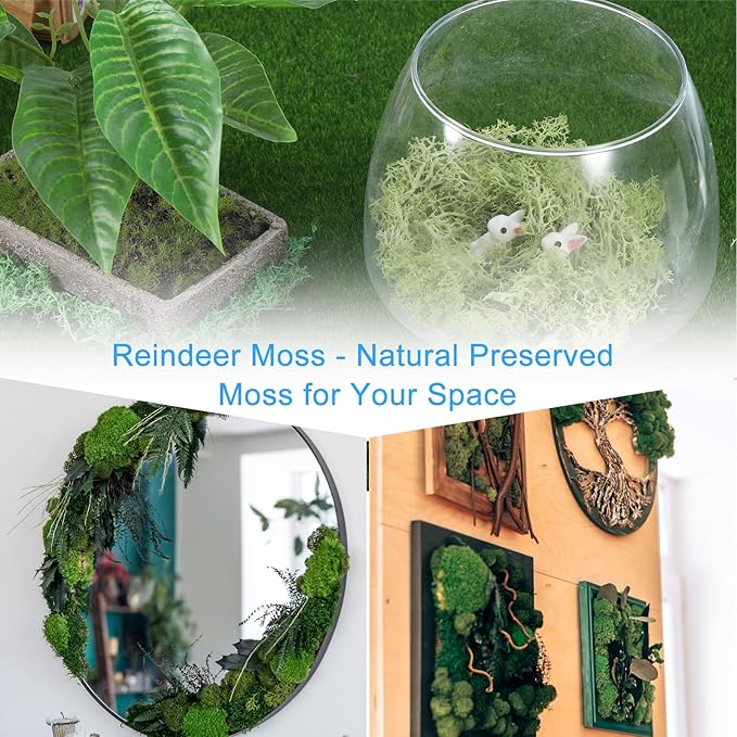 MECCANIXITY 3.5 OZ Moss Fake Craft Moss Artificial Moss Natural Preserved Moss for Craft Arts Floral DIY Project Wall Wedding Garden Patio Table Terrariums Decoration(Coffee)
