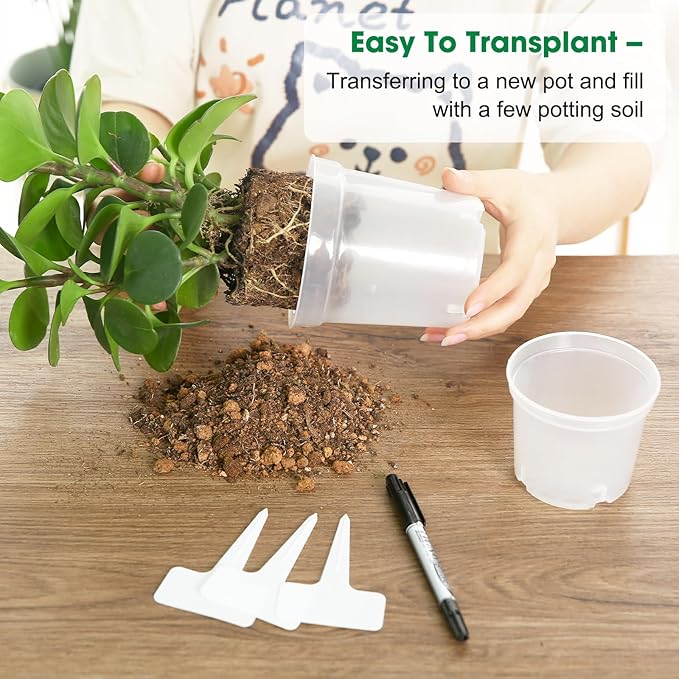 60 Pcs 4 Inch Clear Nursery Pots for Plants, Transparent Plastic Plant Pots with Drain Holes, Seed Starter Pots with 20 Plant Labels for Flowers Vegetable Seedlings