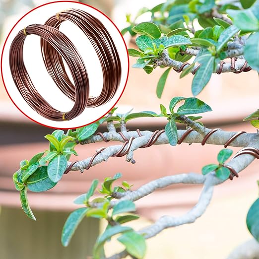 Mudder 5 Roll Aluminum Bonsai Training Wire Tree 160 Feet Total with Bonsai Wire Cutter Anodized Training for Holding Branches Small Trunks(Brown)