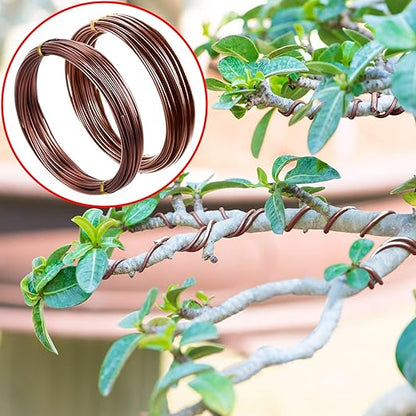 Mudder 5 Roll Aluminum Bonsai Training Wire Tree 160 Feet Total with Bonsai Wire Cutter Anodized Training for Holding Branches Small Trunks(Brown)