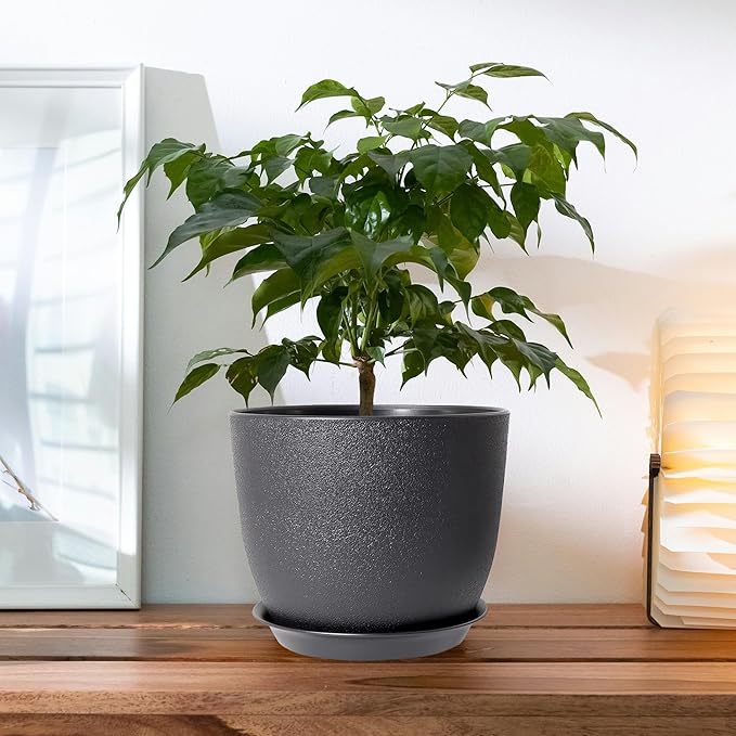 12 Inch 2 Pack Outdoor Flower Pots, Planting Pots with Saucers, Garden House Plants Planters with Drainage Hole Plant Pots Indoor Plants Black Color Plastic