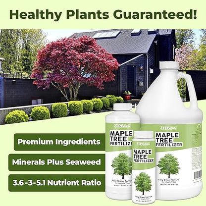 Maple Tree Fertilizer, Complete Liquid Maple Tree Plant Food, 8 oz (250mL)