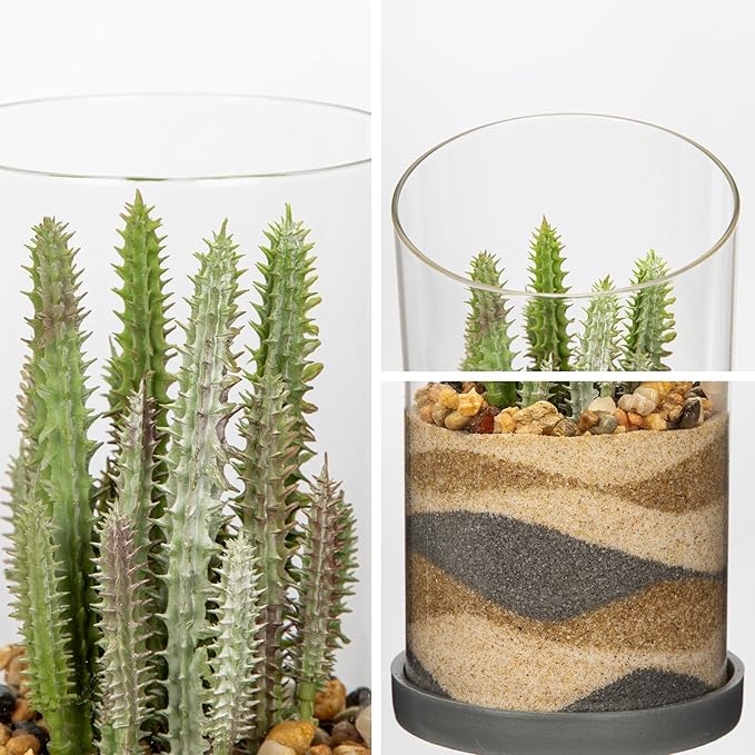 Artificial Succulent in Cylindrical Glass Vase Fake Cactus Plant with Modern Glass Terrarium for Home Decor Farmhouse Hostess Gift