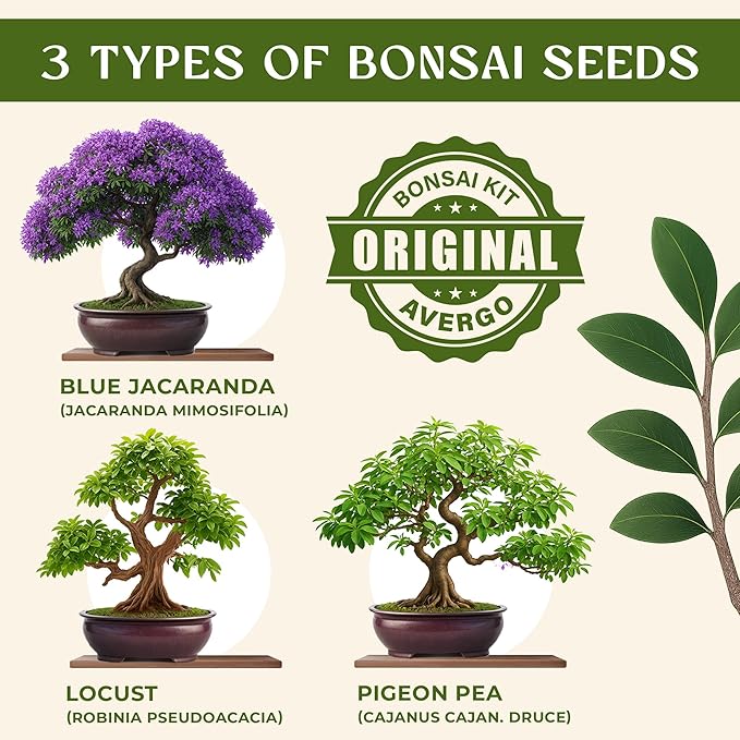 Avergo Bonsai Tree Kit – 3X Unique Japanese Bonzai Trees | Complete Indoor Starter Kit for Growing Bonsai Plants with Tools & Planters – Gardening Gifts for Women & Men