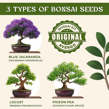 Avergo Bonsai Tree Kit – 3X Unique Japanese Bonzai Trees | Complete Indoor Starter Kit for Growing Bonsai Plants with Tools & Planters – Gardening Gifts for Women & Men