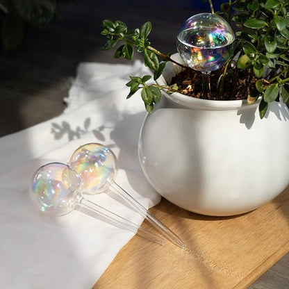 Large Extra-Thick Clear Glass Plant Watering Globes, Rainbow Gradient Self Watering Devices for Indoor & Outdoor Plants, AutomaticWaterer Spikes, Perfect for Daily or Vacation Use, 2-Pack