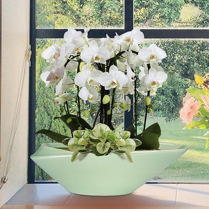 Ceramic Bonsai Pot - 18 Inch Planter with Drainage Hole Large Modern Bonsai Planter Decorative Succulent Flower Plant Pot for Indoor Plants Outdoor Green