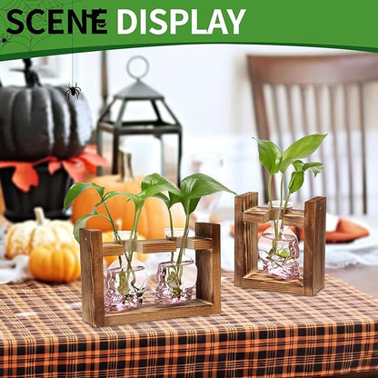 2+1 Plant Terrarium Plant Propagation Station Gifts for Father Halloween Skull Home Office Decor with Wooden Stand
