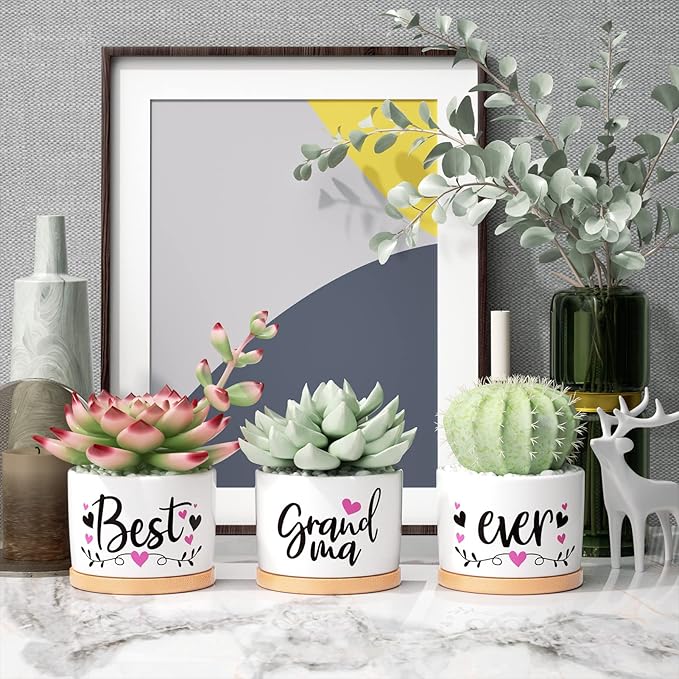 Christmas Grandma Gifts Best Gifts for Grandma from Grandchildren Granddaughter, Best Grandma Ever Succulent Pots for Plants Indoor Ceramic Planter, Gift Boxed Cute Grandma Birthday Thanksgiving Gifts