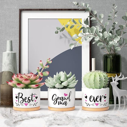 Christmas Grandma Gifts Best Gifts for Grandma from Grandchildren Granddaughter, Best Grandma Ever Succulent Pots for Plants Indoor Ceramic Planter, Gift Boxed Cute Grandma Birthday Thanksgiving Gifts