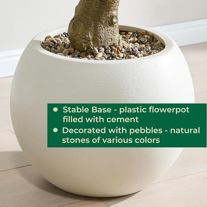 7.5 FT Large Luxury Artificial Olive Tree, Tall Faux Olive Tree with White Pot, Extra Lush Stereoscopic Shape, 5 Minutes Easy Set-up, Realistic Trunks and Lifelike Leaves & Fruits, Home Office Décor