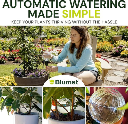 Blumat Clear Globe 3-Pack