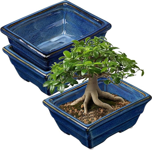 Bonsai Pots Shallow Succulent Planters for Live Bonsai Trees Set of 2, 6.3" Ceramic Pot for Succulents Indoor with Drainage Hole, Outdoor Cactus Plant Bonsai Pot, Ceramic Flower Pot