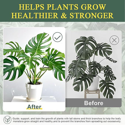 Plant Stem Support 2 Pack, Adjustable Metal Monstera Plant Support Small & Large, Unique Design Plant Supports for Indoor Plants Moss Pole Growth (Gold)