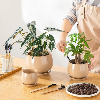 vancasso 3-Pack Ceramic Plant Pots, 3.7/4.8/6.2 Inch Indoor Planters with Saucers & Drainage Hole Planter pots for Indoor Plants and Flower, Brown