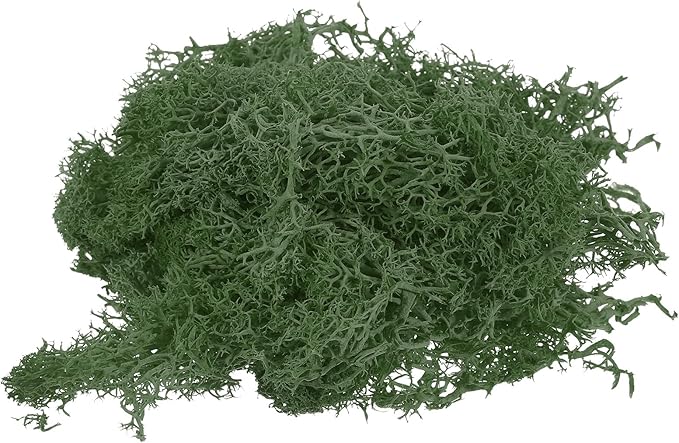 MECCANIXITY 3.5 OZ Moss Fake Craft Moss Artificial Moss Natural Preserved Moss for Craft Arts Floral DIY Project Wall Wedding Garden Patio Table Terrariums Decoration(Grass Green)