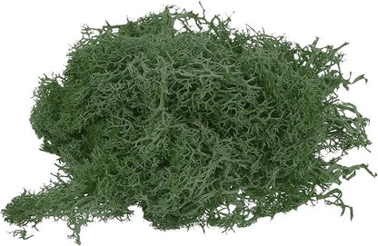 MECCANIXITY 3.5 OZ Moss Fake Craft Moss Artificial Moss Natural Preserved Moss for Craft Arts Floral DIY Project Wall Wedding Garden Patio Table Terrariums Decoration(Grass Green)
