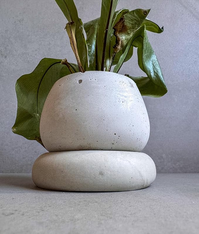 Mini Concrete Planter with Drainage, Cute Plant Pot, Bubble Planter, Decorative Cement Pot, Minimalist Pot with Saucer, Nordic, Chunky Pot (Creamy Gray)