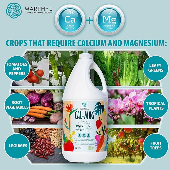 MARPHYL Organic CALMAG Liquid Fertilizer, Calcium + Magnesium, Corrects Common Plant Deficiencies, for Garden, Flowers, Vegetables, Succulents, Bamboo, Hydroponics 16.9 oz