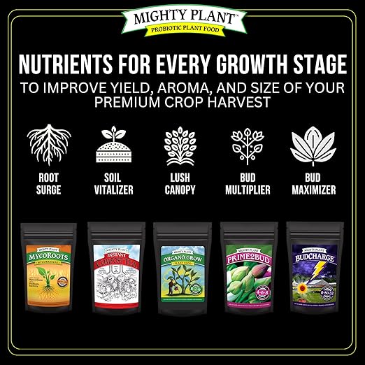 Flowering Bloom Booster Plant Enhancer – Arginine-Powered Growth Formula for Explosive Bloom & Fruit Set | Prime2Bud Ideal for Garden Flowers & Fruit-Bearing Vegetables (5, Ounces)