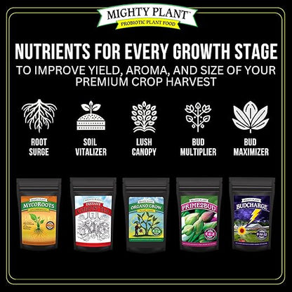 Flowering Bloom Booster Plant Enhancer – Arginine-Powered Growth Formula for Explosive Bloom & Fruit Set | Prime2Bud Ideal for Garden Flowers & Fruit-Bearing Vegetables (5, Ounces)