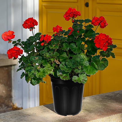 200 Pcs 1 Gallon Plastic Plants Nursery Pot with 200 Plant Labels Seed Starting Pots Plastic Pots with Drainage Hole for Seedlings, Cuttings, Transplanting (200, 1 Gallon)