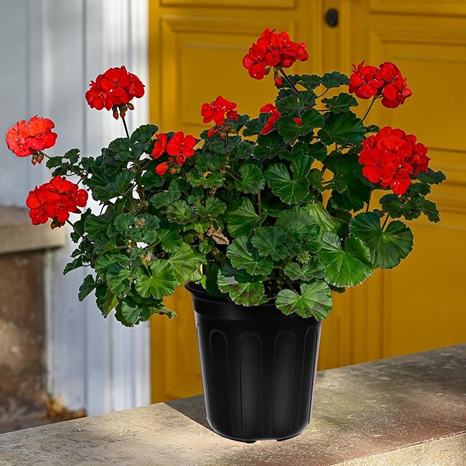 50 Pcs 1 Gallon Plastic Plants Nursery Pot with Plant Labels Seed Starting Pots Plastic Pots with Drainage Hole for Seedlings, Cuttings, Transplanting (50, 1 Gallon)
