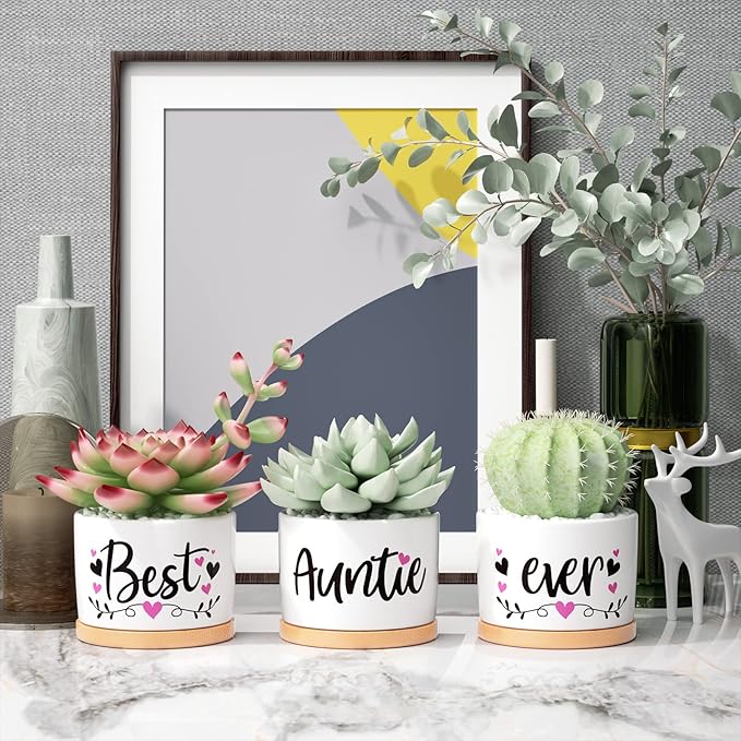 MAYICIVO Christmas Aunt Gifts from Niece Nephew, Best Gifts for Aunt, Best Auntie Ever Gifts Succulent Pots for Plants Indoor Ceramic Planter, Gift Boxed Aunt Birthday Gifts for Aunt Auntie